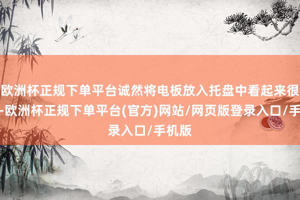 欧洲杯正规下单平台诚然将电板放入托盘中看起来很低级-欧洲杯正规下单平台(官方)网站/网页版登录入口/手机版