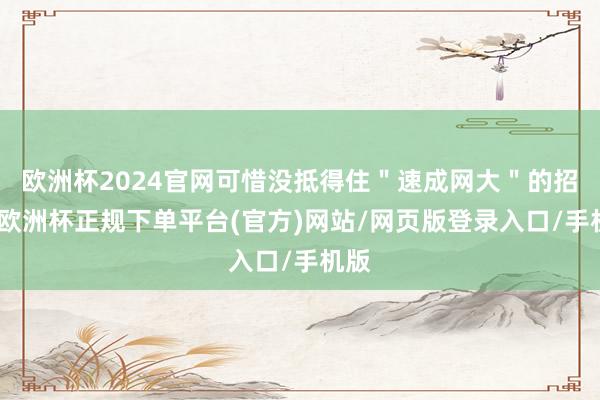 欧洲杯2024官网可惜没抵得住＂速成网大＂的招引-欧洲杯正规