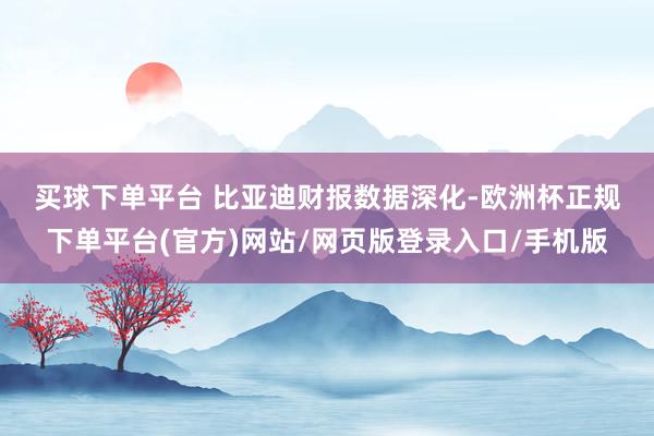 买球下单平台 　　比亚迪财报数据深化-欧洲杯正规下单平台(官方)网站/网页版登录入口/手机版