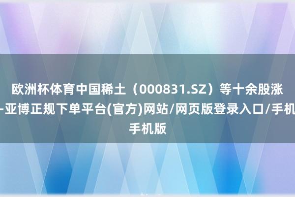 欧洲杯体育中国稀土（000831.SZ）等十余股涨停-亚博正规下单平台(官方)网站/网页版登录入口/手机版