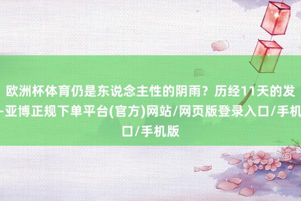 欧洲杯体育仍是东说念主性的阴雨？历经11天的发酵-亚博正规下单平台(官方)网站/网页版登录入口/手机版