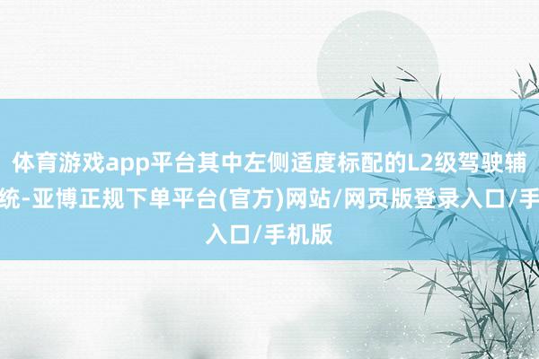 体育游戏app平台其中左侧适度标配的L2级驾驶辅助系统-亚博正规下单平台(官方)网站/网页版登录入口/手机版