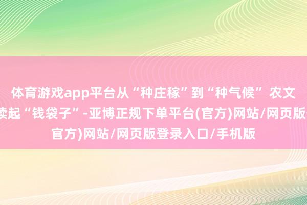 体育游戏app平台从“种庄稼”到“种气候” 农文旅会通让村民饱读起“钱袋子”-亚博正规下单平台(官方)网站/网页版登录入口/手机版